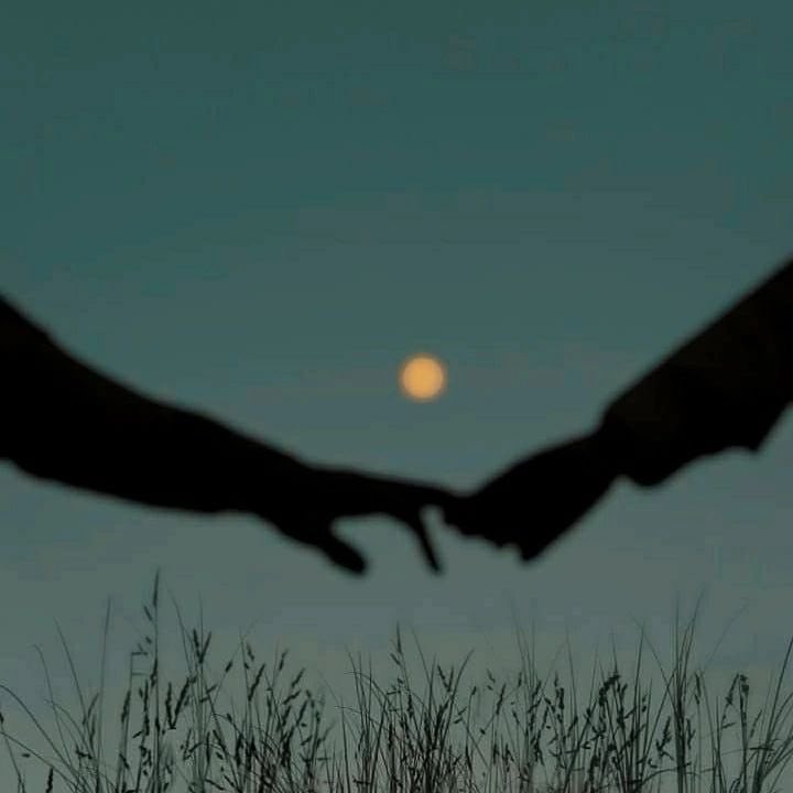 nvareads's tweet image. 📖 cr: the prophets by robert jones, jr.