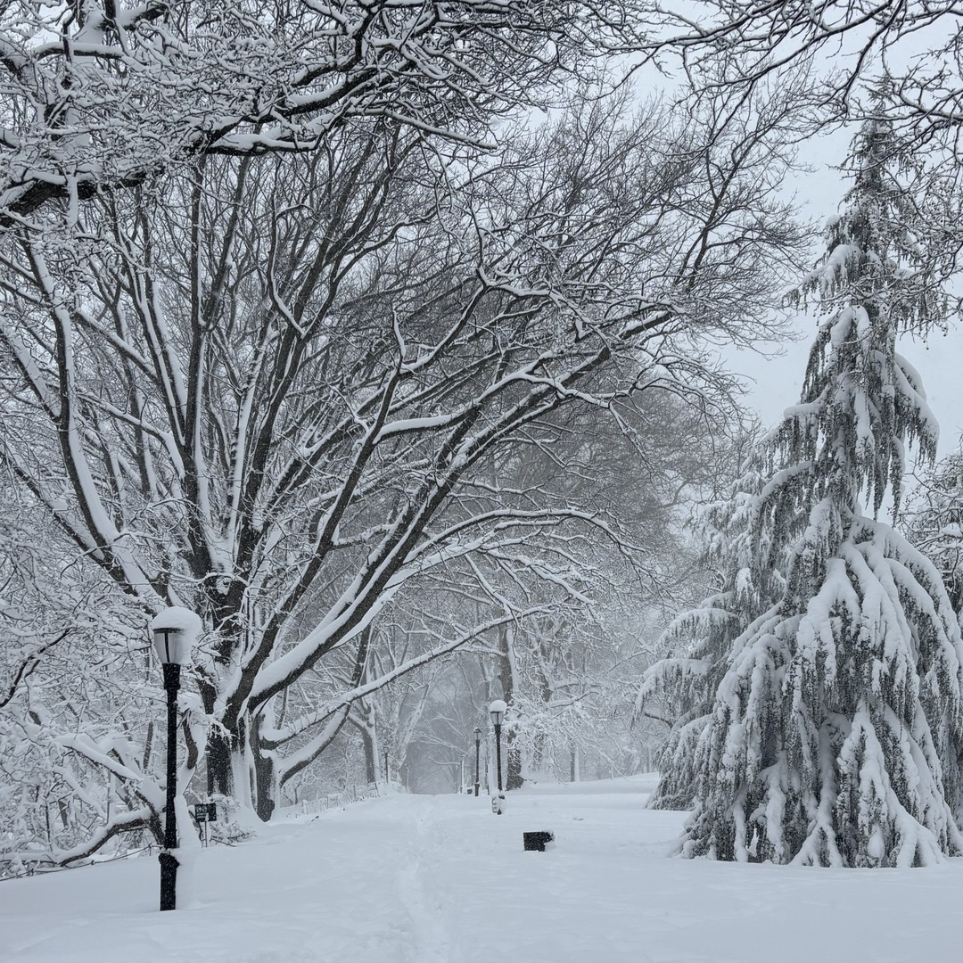GoGreenBK's tweet photo. Brooklyn, please stay safe and stay indoors if you can. ❄️

Use today to check on your neighbors, keep sidewalks clear, and unplug non-essential electronics to conserve energy at home.

Take care of yourself and your community until the snow settles. #greentip https://t.co/VjNbIZ5t9y
