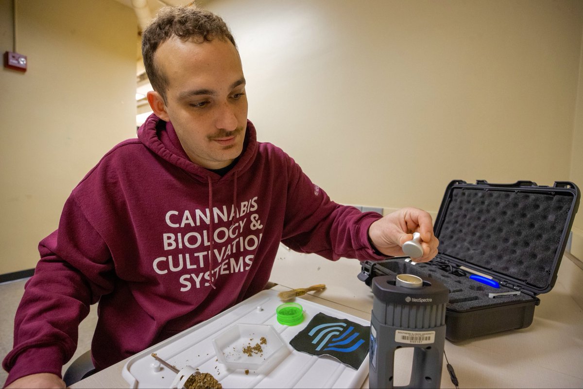 JoseLemePhD's tweet photo. 🔬🪴 Shout out to Valenveras and Buchi for their support of the Cannabis Biology and Cultivation Lab. I’m excited to explore this research partnership and the discoveries ahead.
#cannabis #plantbiology #horticulture #controlledenvironmentagriculture #thisissiu https://t.co/NpSEcmyEhv