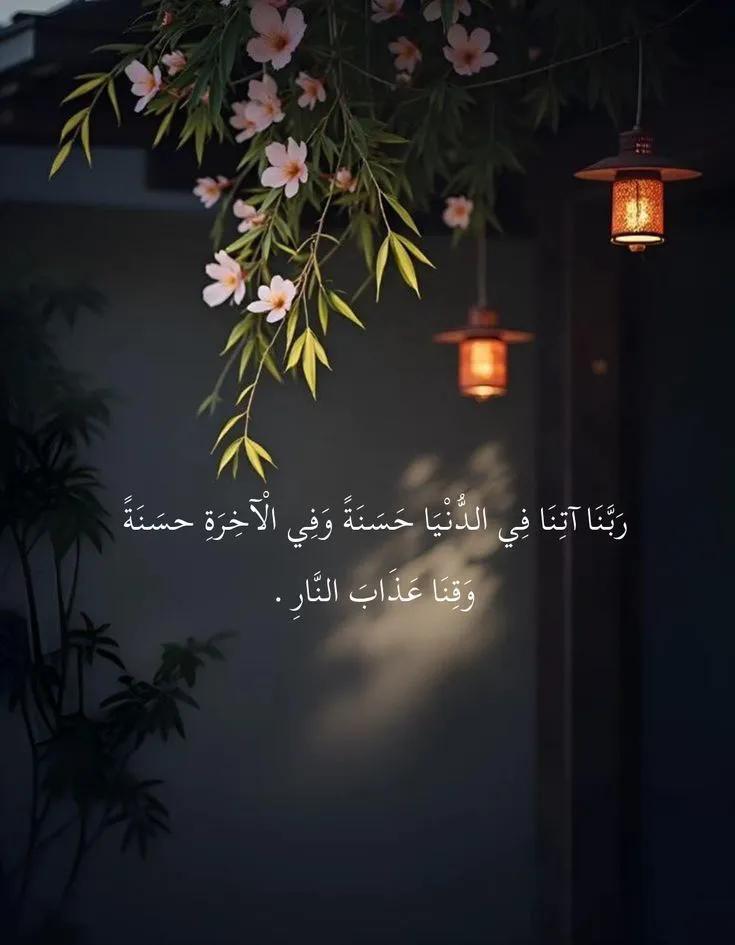 هشام محمد tweet media