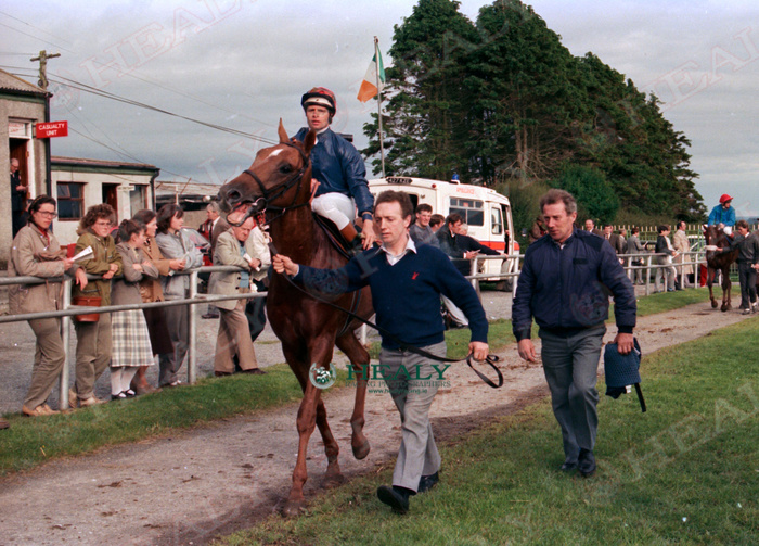 Pat Healy tweet media