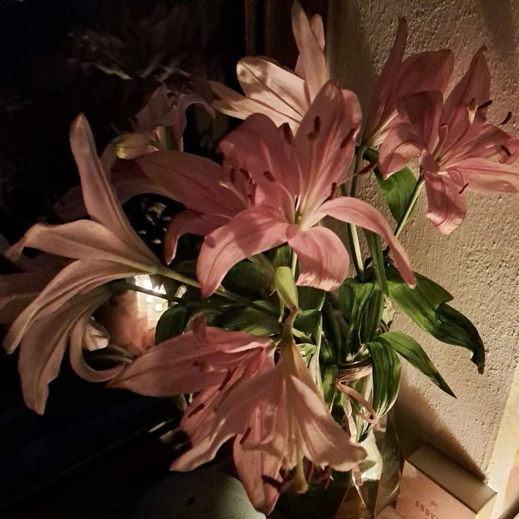 hîv. (@sorrrowfull) on Twitter photo 