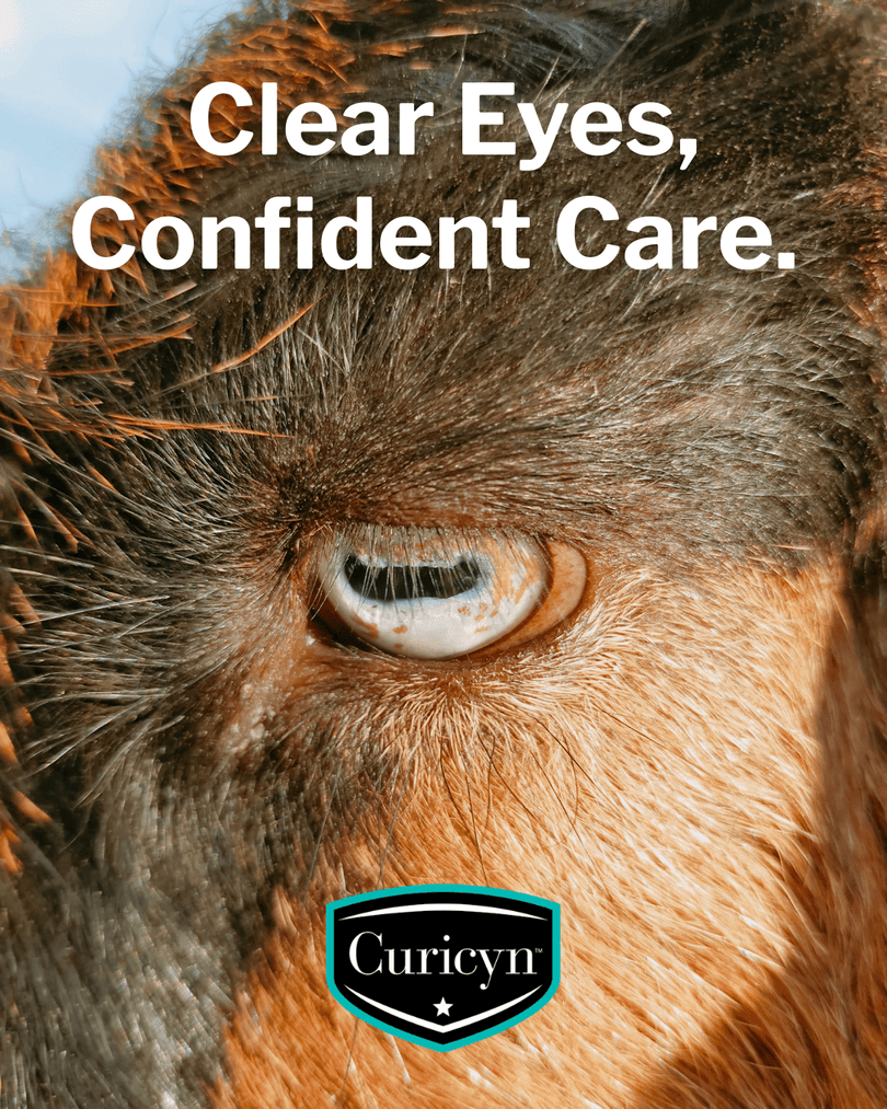Curicynproducts's tweet photo. Dust, wind, and winter debris can irritate the eyes of all animals. Curicyn Eye Care Solution supports gentle, effective care to help heal irritations and issues, as well as for regular cleansing for all animals. #AnimalWoundCare https://t.co/EZOpsQl6DO