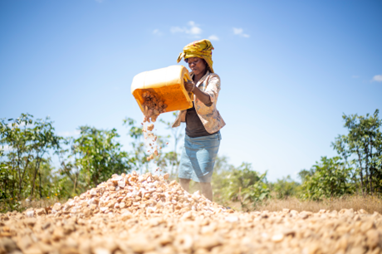 UNDP Zambia tweet media