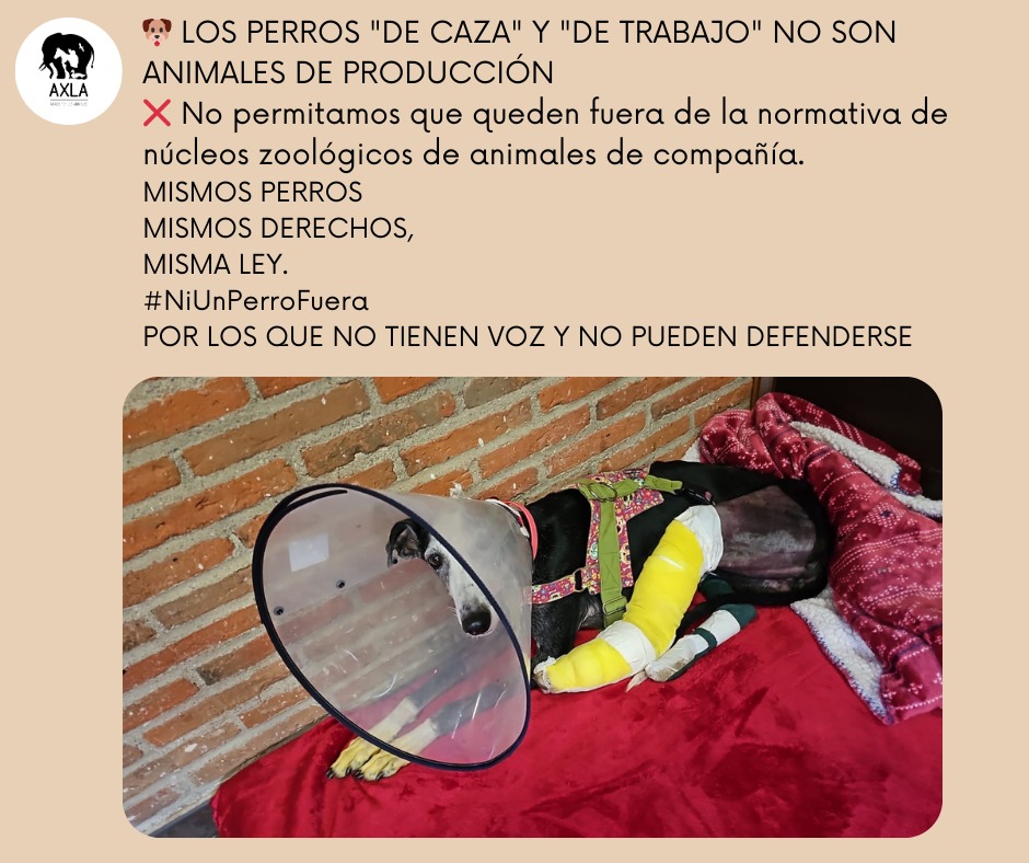 Cristina tweet media