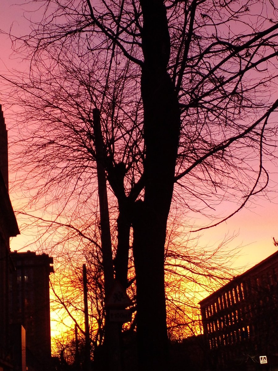 Катерина Галич tweet media