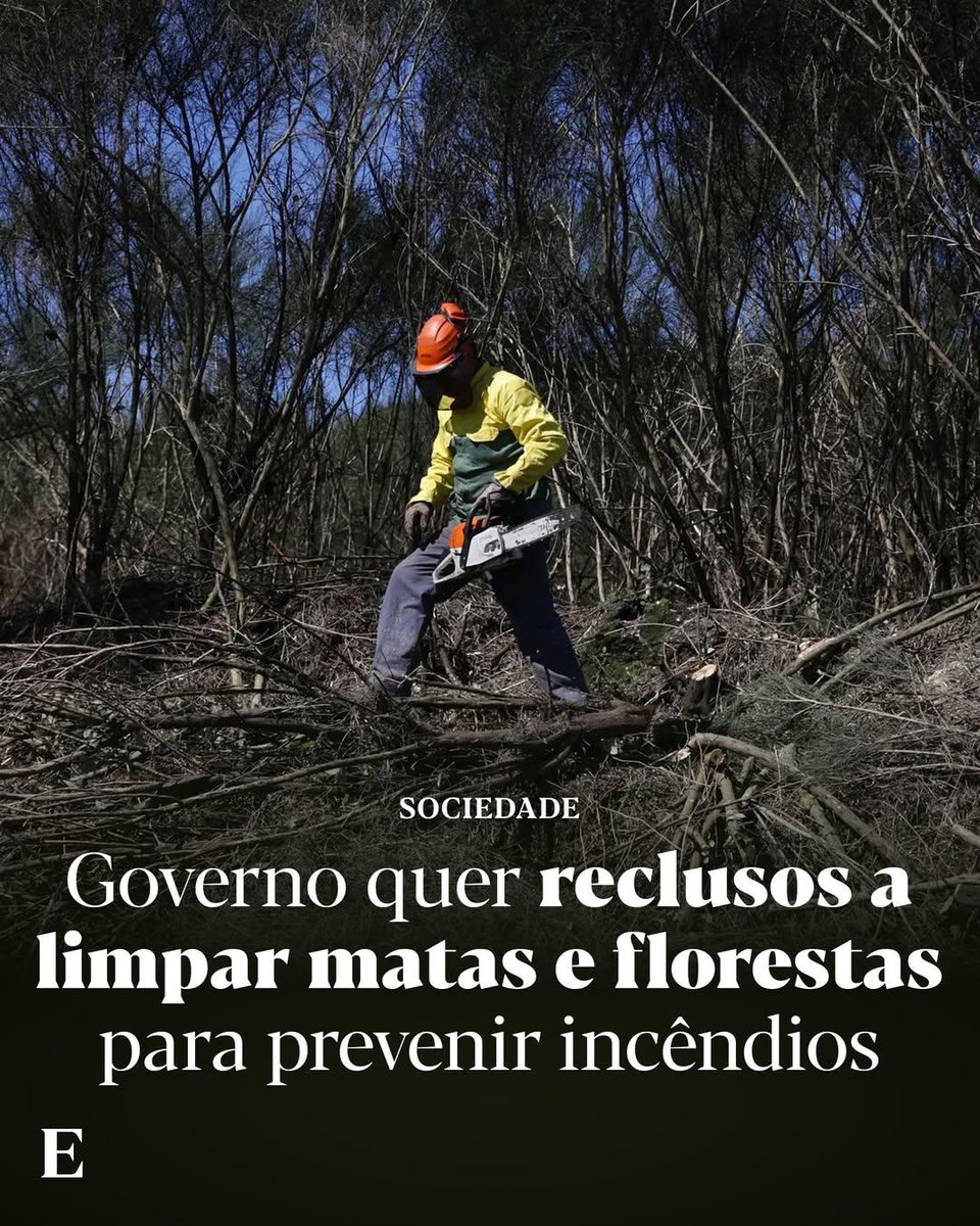 O executivo estabelece "programas de reinserção social e de trabalho prisional que compreendam atividades de utilidade pública”.

Leia mais: expresso.pt/incendios/2026…