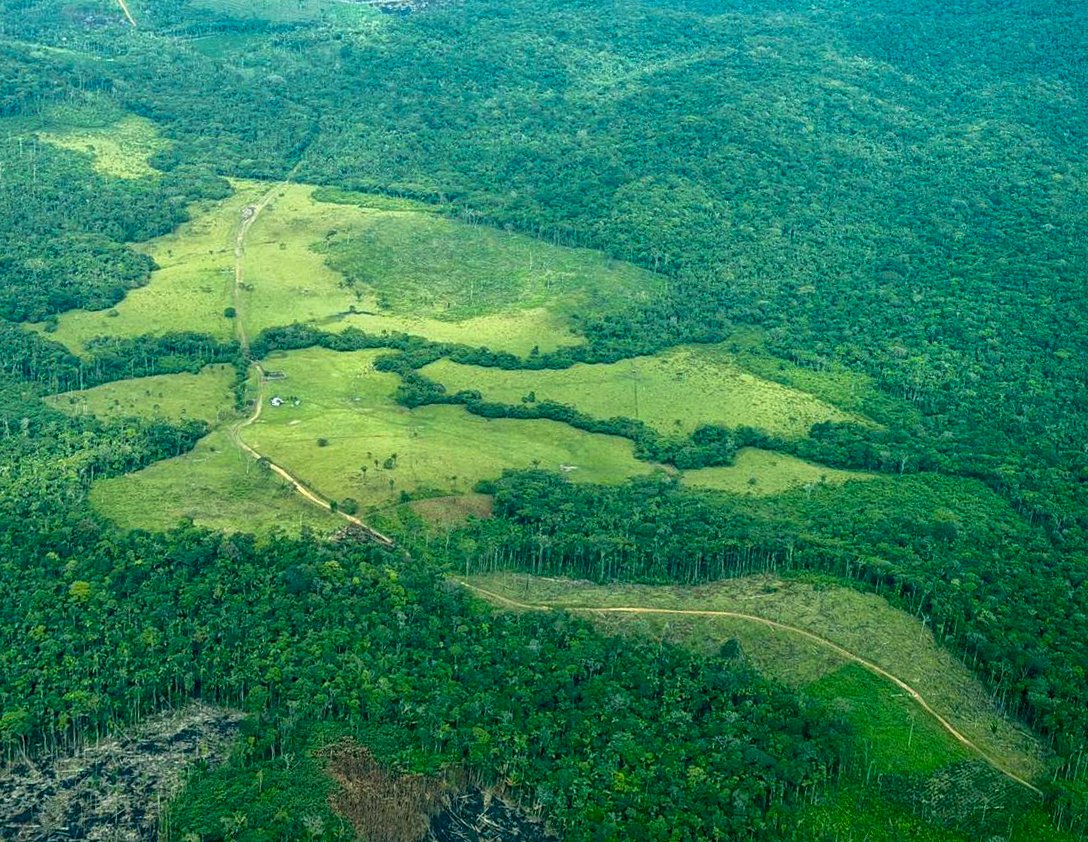 Fundación para la Conservación y el Desarrollo tweet media