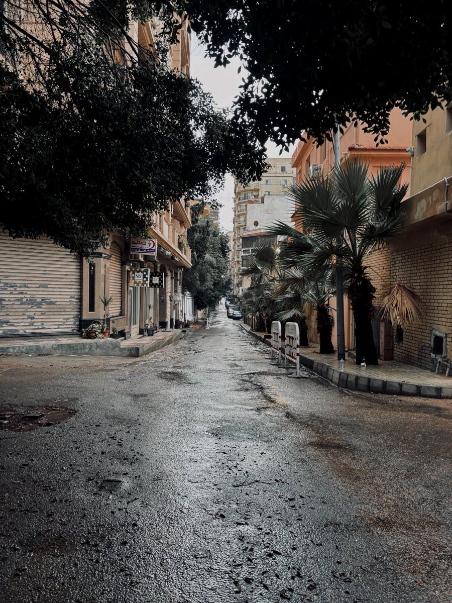 yassminhassan96 tweet picture