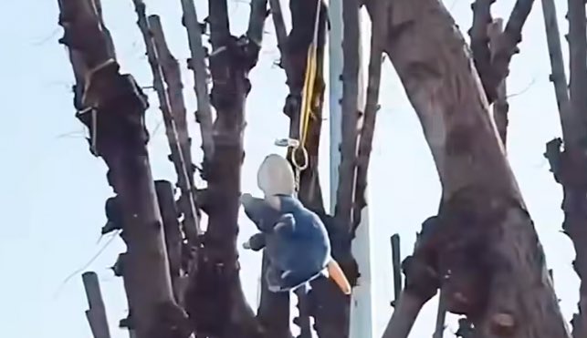 kevin Kääriäinen tweet media