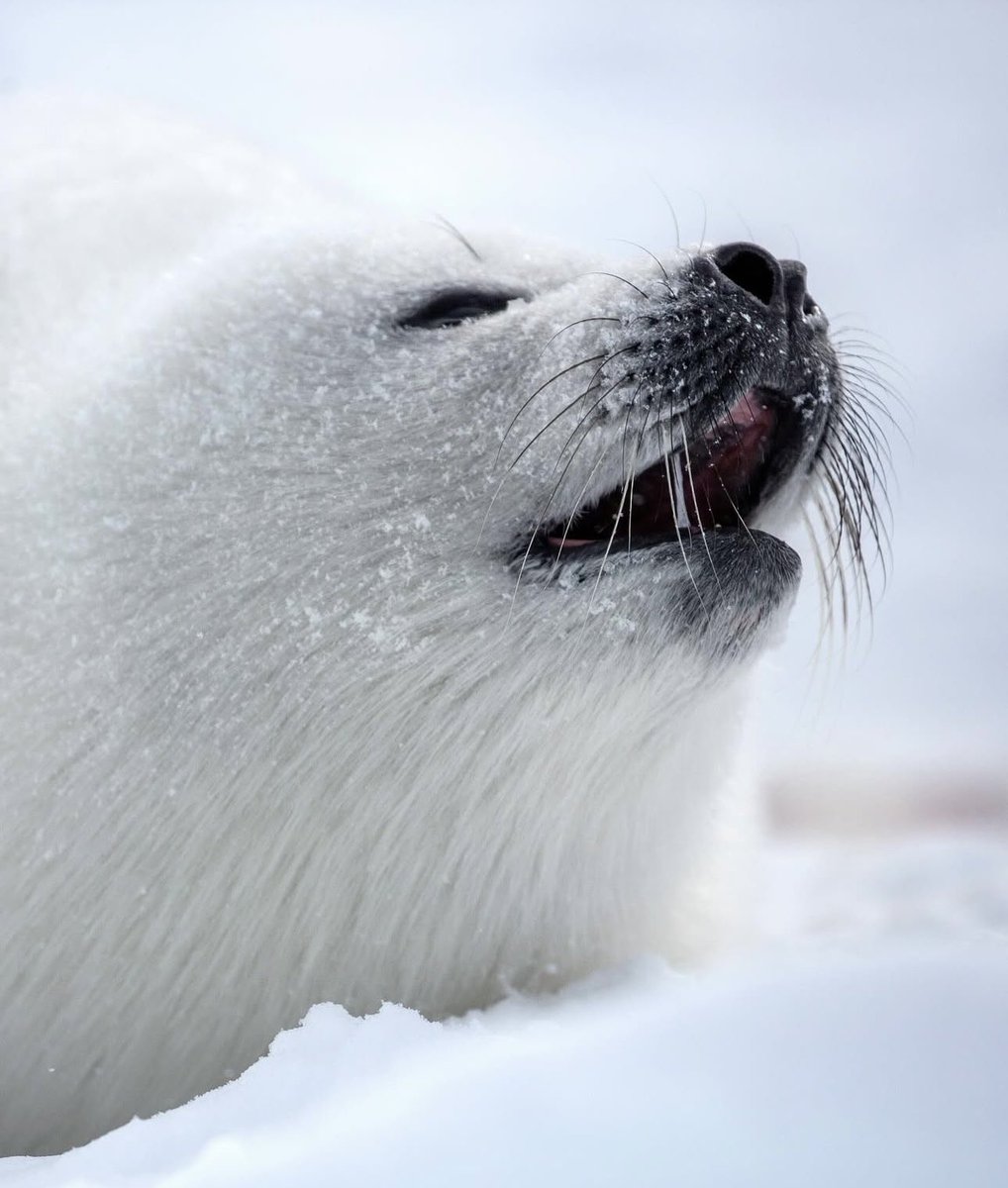 The ferocity of what that is a evildoer or eoemthing something along thosenlines