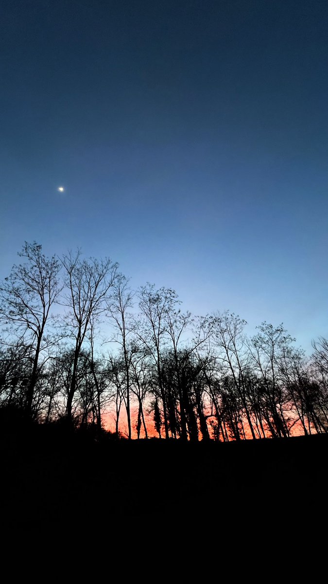 DaVid Conill tweet media