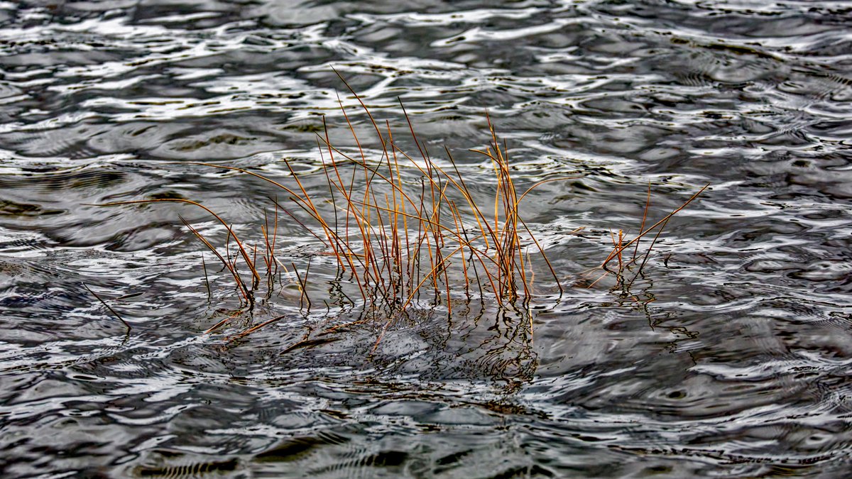 Stephen Cotterell tweet media