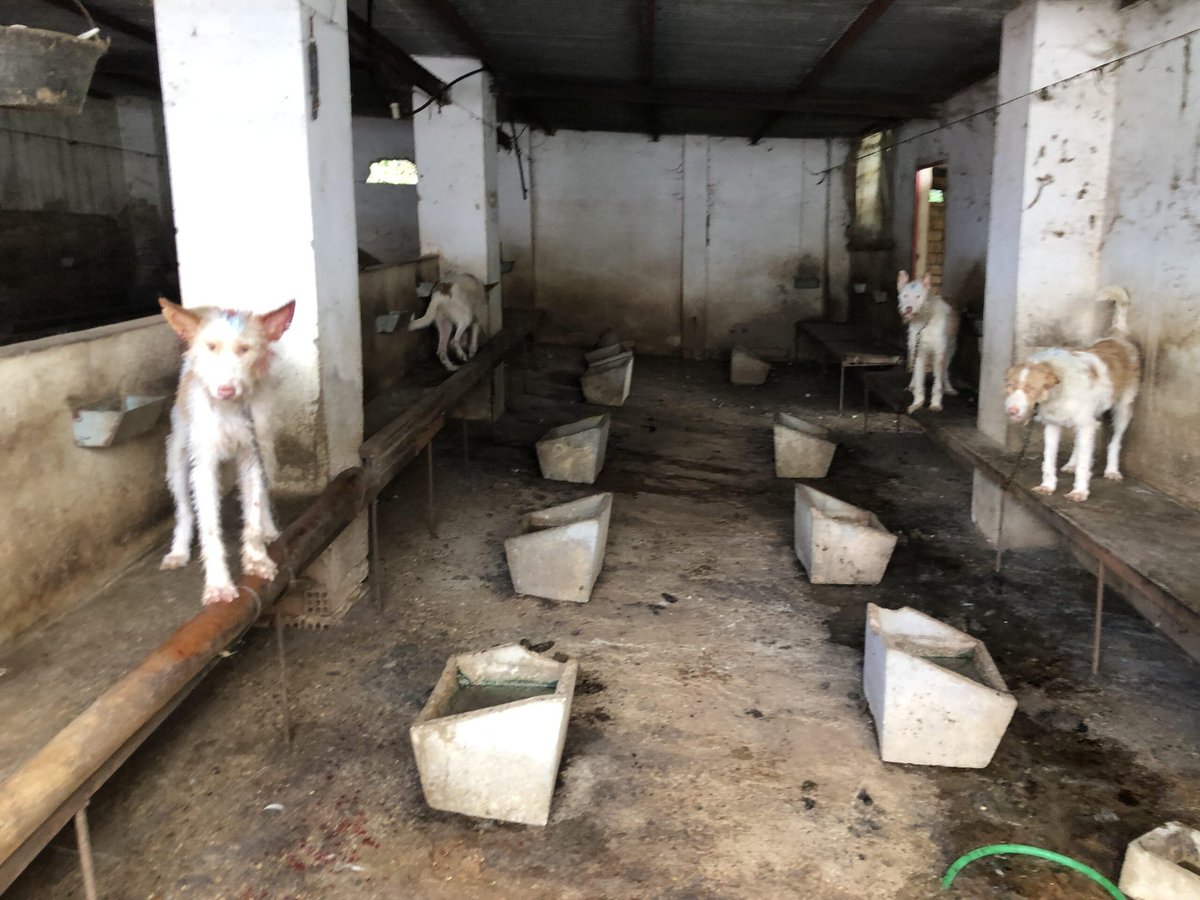 Jüana Elsderg tweet media