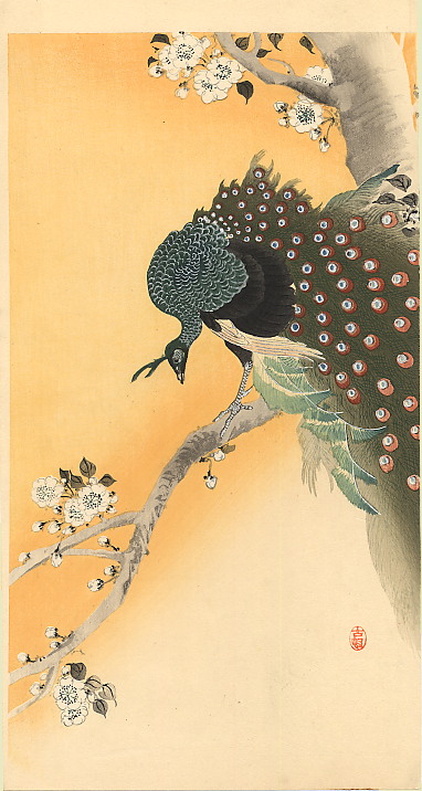 Peacock, by Ohara Koson, late 19th-early 20th century