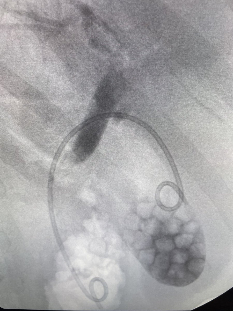 Douglas G. Adler MD, FASGE, FACG, AGAF tweet media