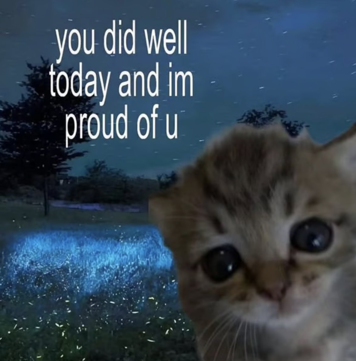 Byrnison 🏹 tweet media