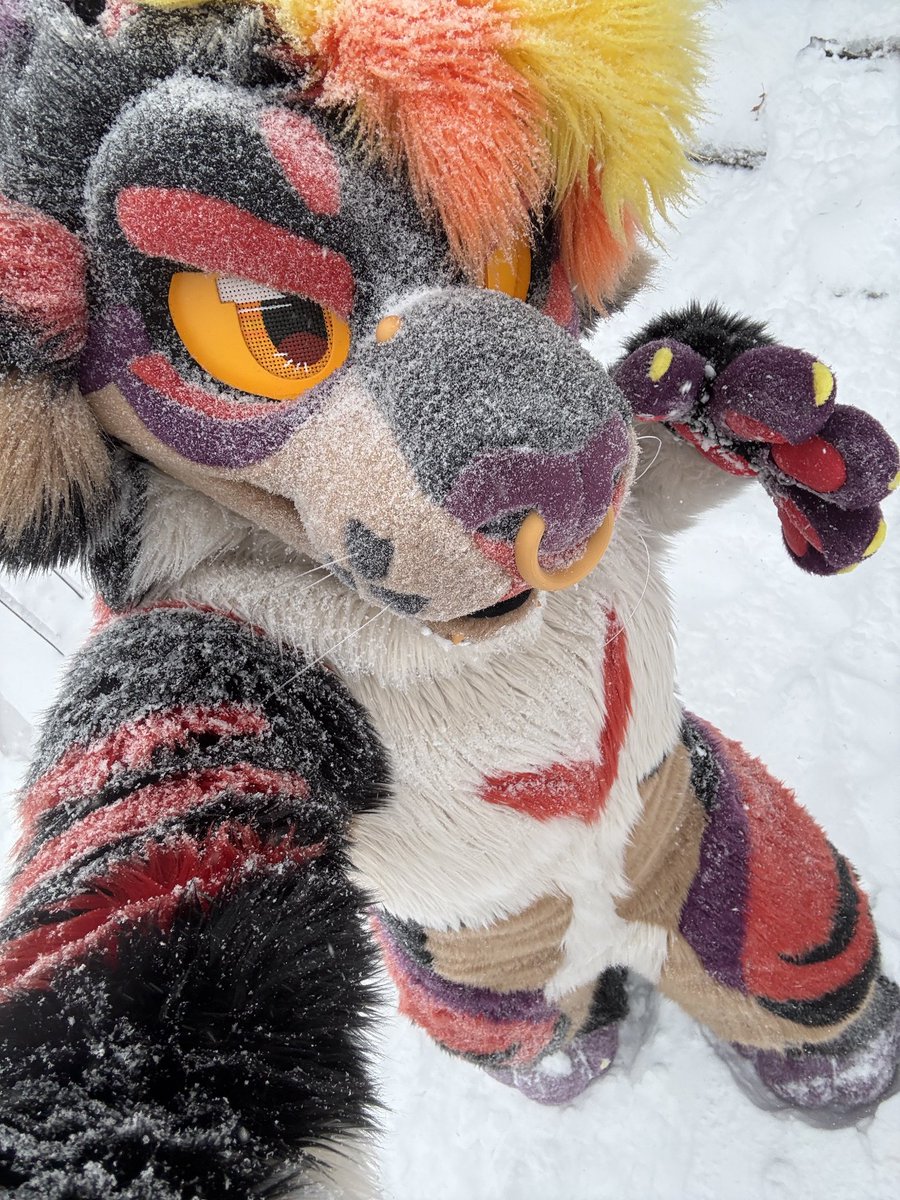 BAD CATTITUDE @ CO tweet media