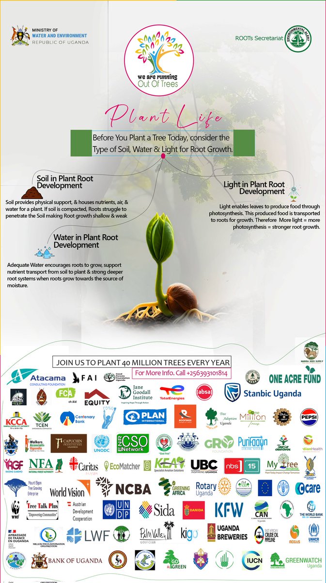 Running Out Of Trees tweet media