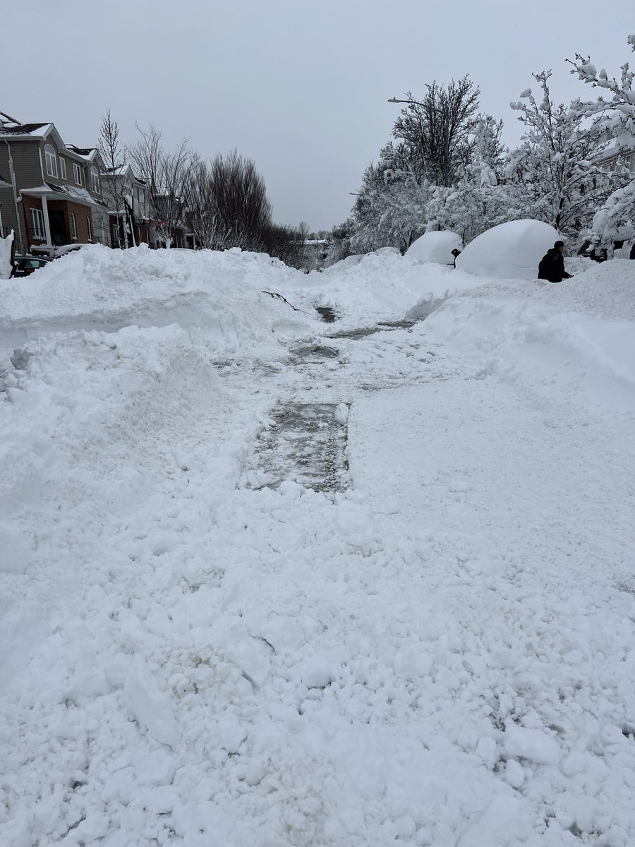 Darin Zoccali tweet media