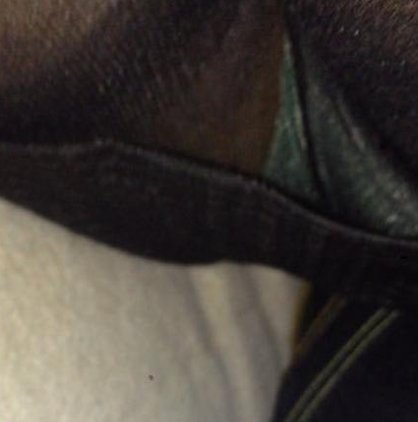 誰の会社でしょう？ 👮