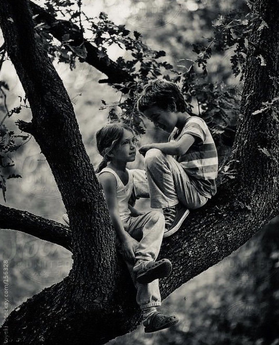 Rana Farah💎👑 tweet media