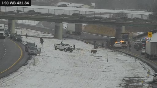 News 4 Buffalo tweet media