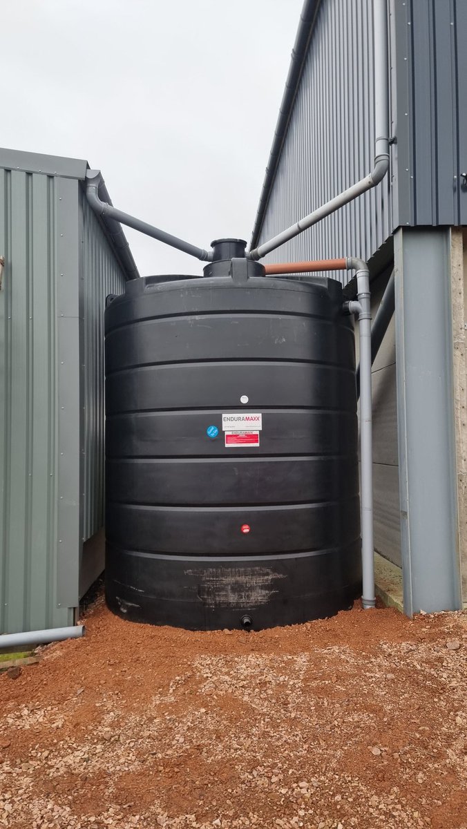 Everything Is Greenknowe tweet media