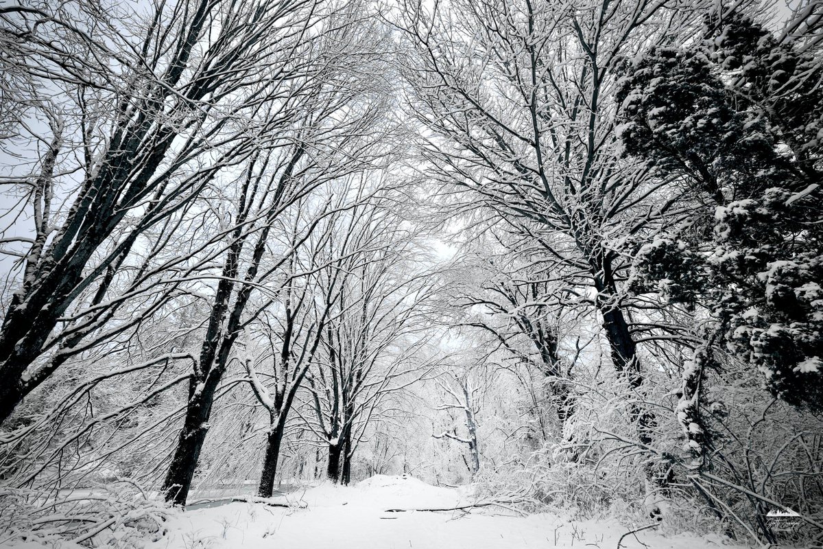 Scott Jacobson tweet media