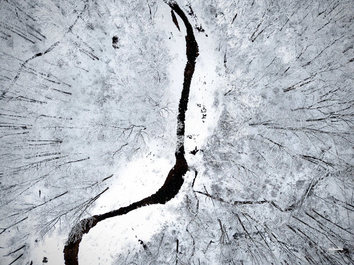 Scott Jacobson tweet media