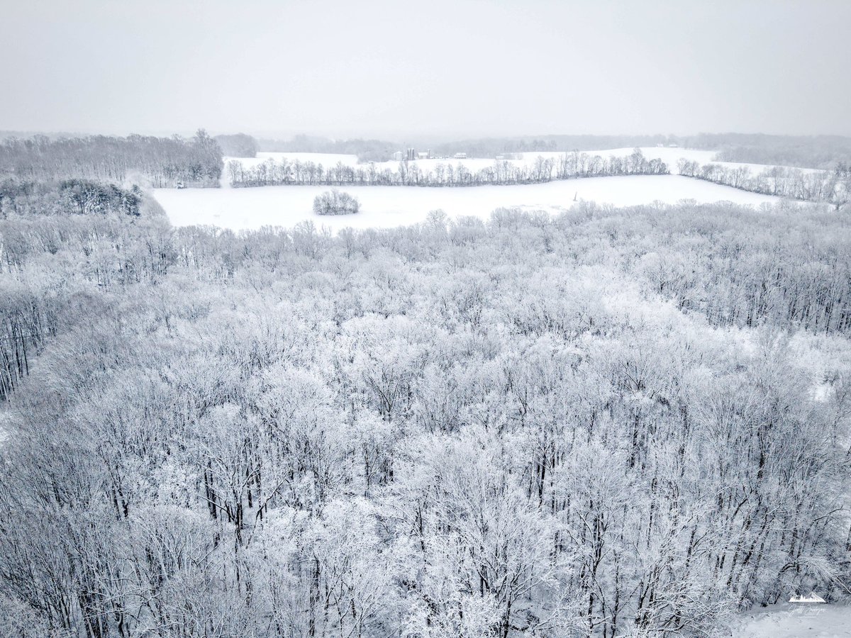 Scott Jacobson tweet media