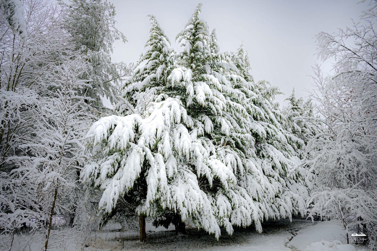 Scott Jacobson tweet media