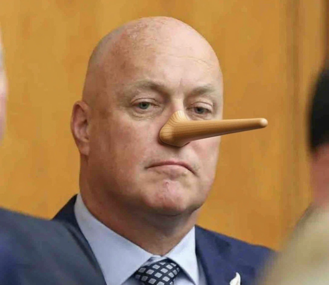 🌼 Random Kiwi 🌼 🇳🇴🇳🇿🇺🇸 tweet media