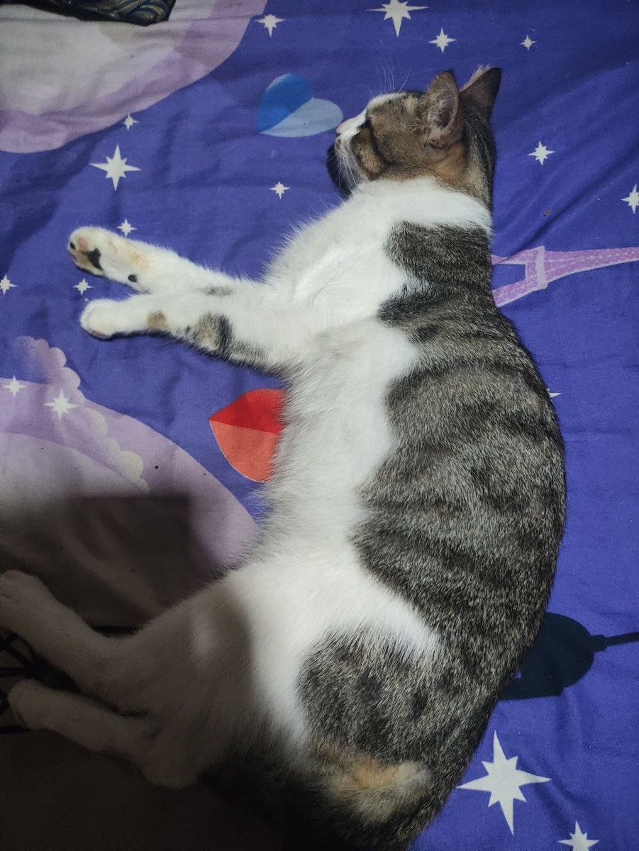 Eun-ji (은지) tweet media