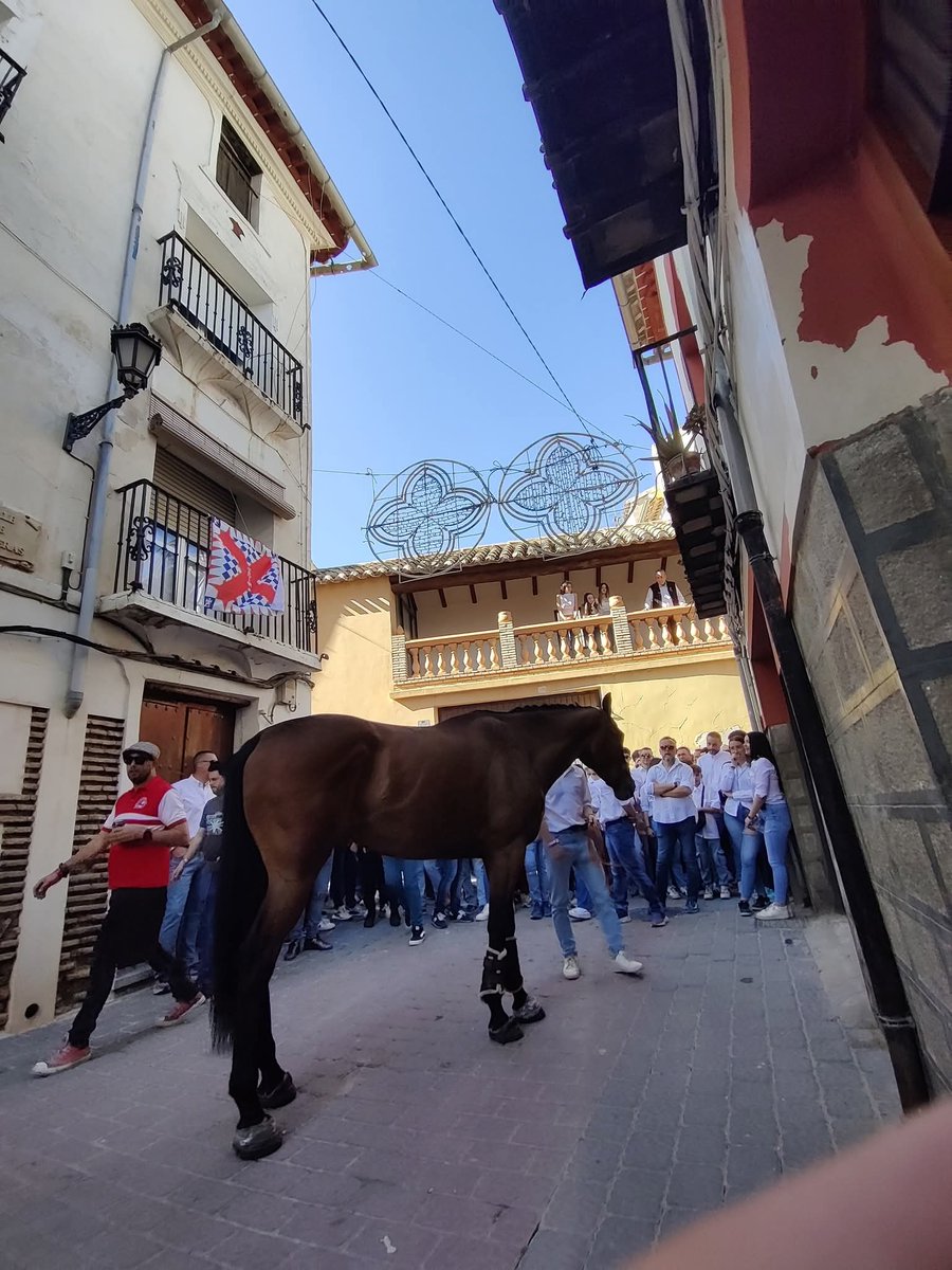 🔻🔻 En un suspiro estaremos allí...🔻🔻
#CaballosdelVino2026
#CaballosdelVinoUNESCO
#2deMayo
#patrimonioinmaterialdelahumanidad
#CaravacadelaCruz
#FiestasdeCaravaca
#Minipua