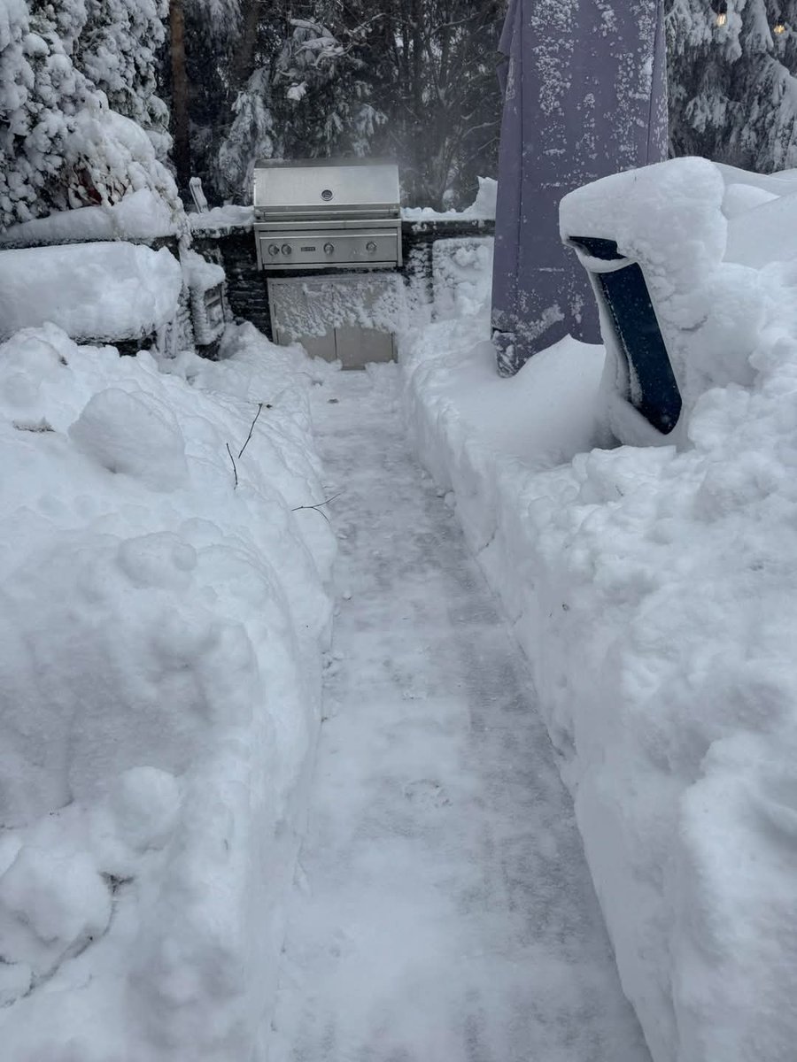 New England Grills tweet media