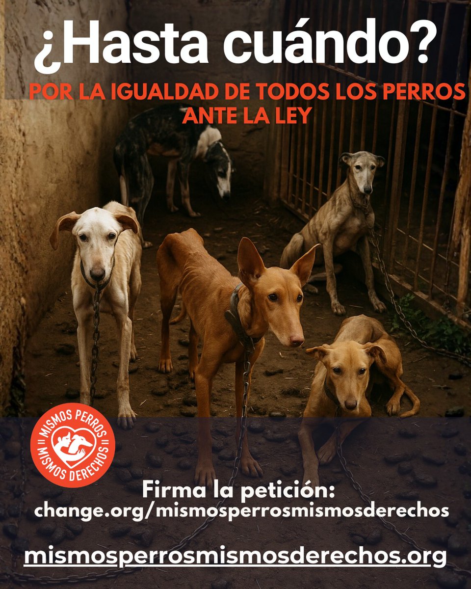 #NiUnPerroFuera <a href="/pbustinduy/">Pablo Bustinduy</a> <a href="/AnimalesGob/">D. G. Derechos Animales</a> <a href="/gobmapa/">Ministerio de Agricultura, Pesca y Alimentación</a> <a href="/JoserraBecerra/">Joserra Becerra 🌻</a>