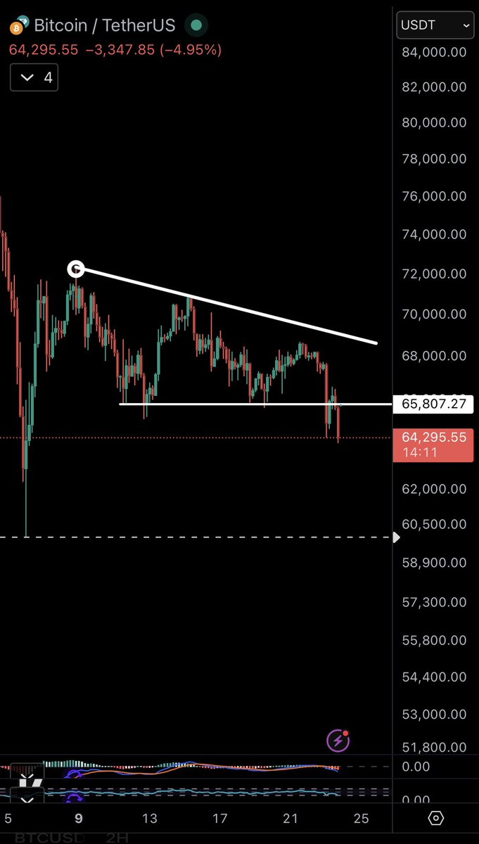 Bitbull tweet media