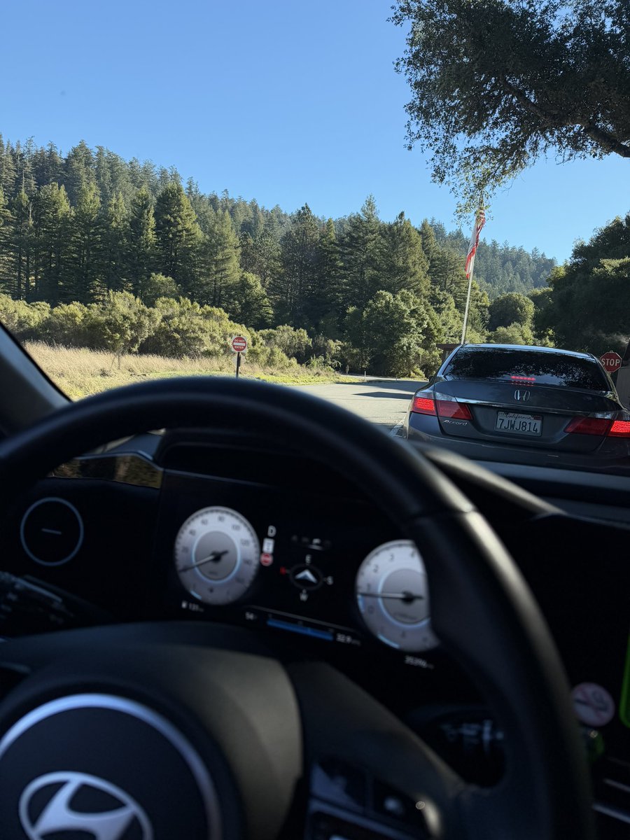 honest to god i questioned my friend the entire trip why he hated cali so much when i felt so at peace the entire week there