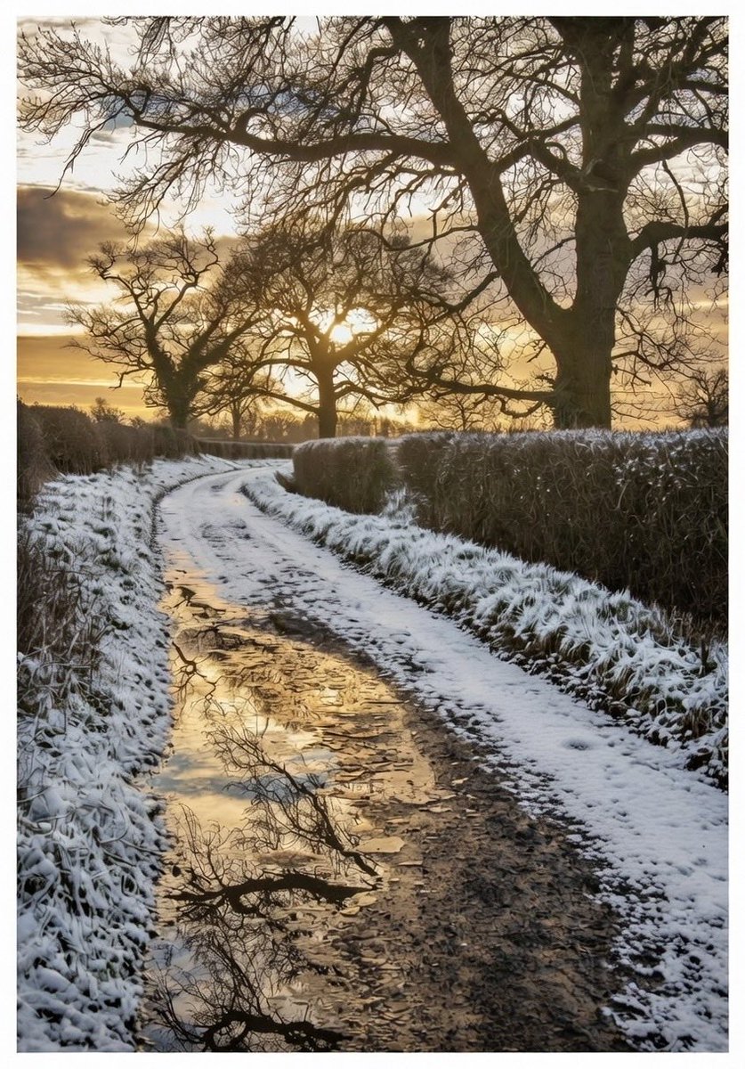 Winter country lane February 2021. <a href="/serudd1960/">Susan Rudd</a> <a href="/JCadd/">Julie Caddell</a> <a href="/5Naureen/">Naureen Khalid</a> <a href="/987nattrass/">Andy Nattrass</a> <a href="/iandt53/">Ian Thomson</a> <a href="/VenablesJayne/">Jayne Venables</a> <a href="/ShiresGirl/">Karen Weston 💙</a>