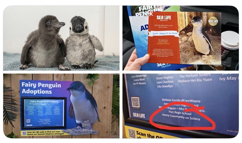 <a href="/MrTcooks/">Mr. T</a> The $henry community shows up everyday, jump in the spaces if you want to learn more
$henry szn is here 💯🐧🚀