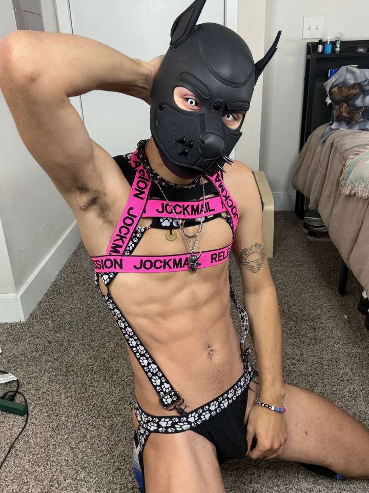 🌛PupSphinx🌜 tweet media