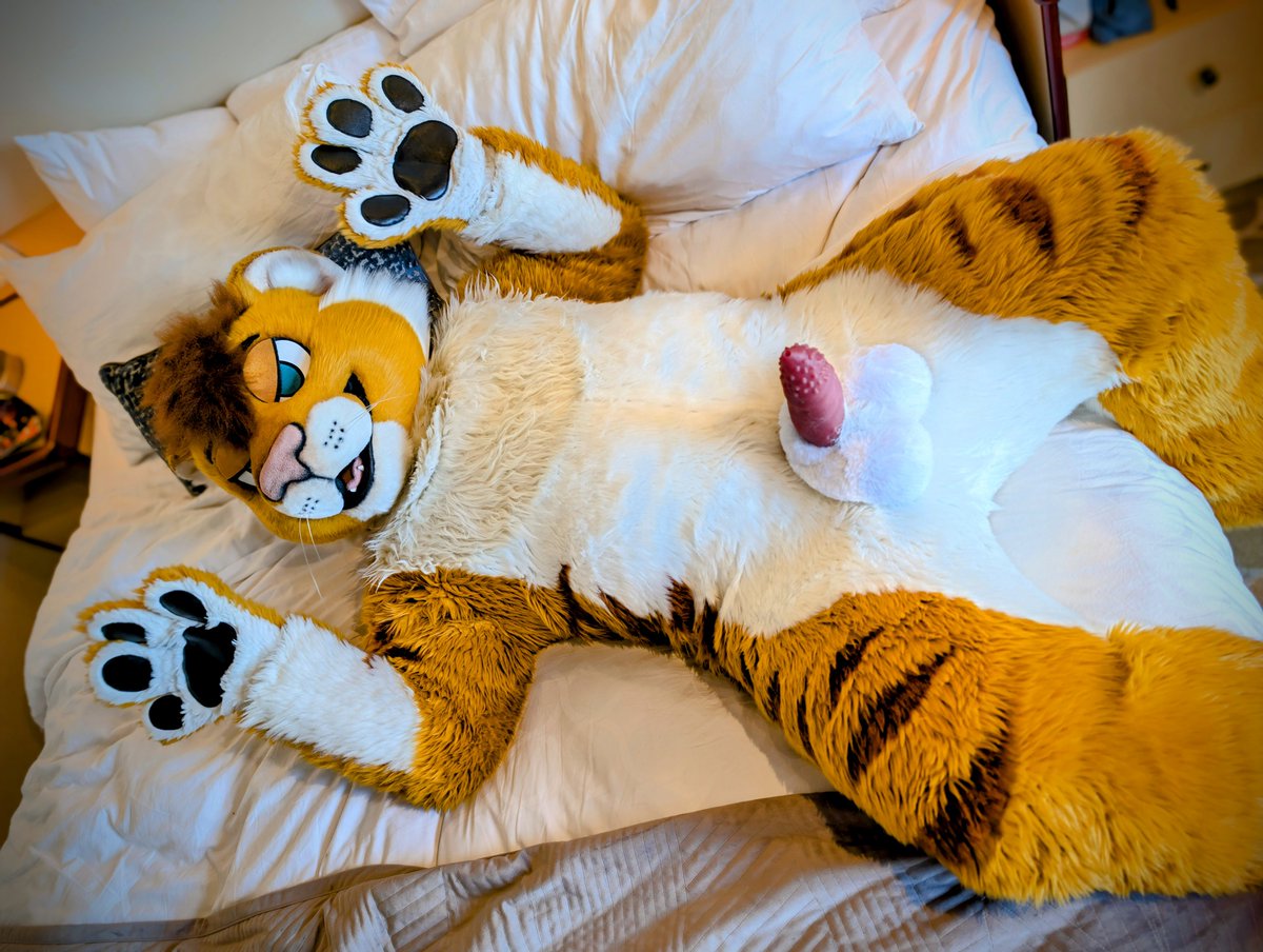 ~NaughtyTigon~ tweet media