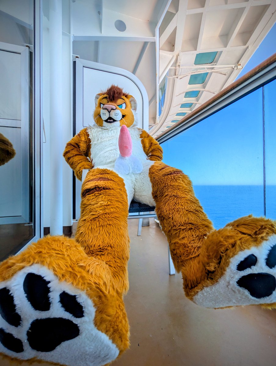 ~NaughtyTigon~ tweet media