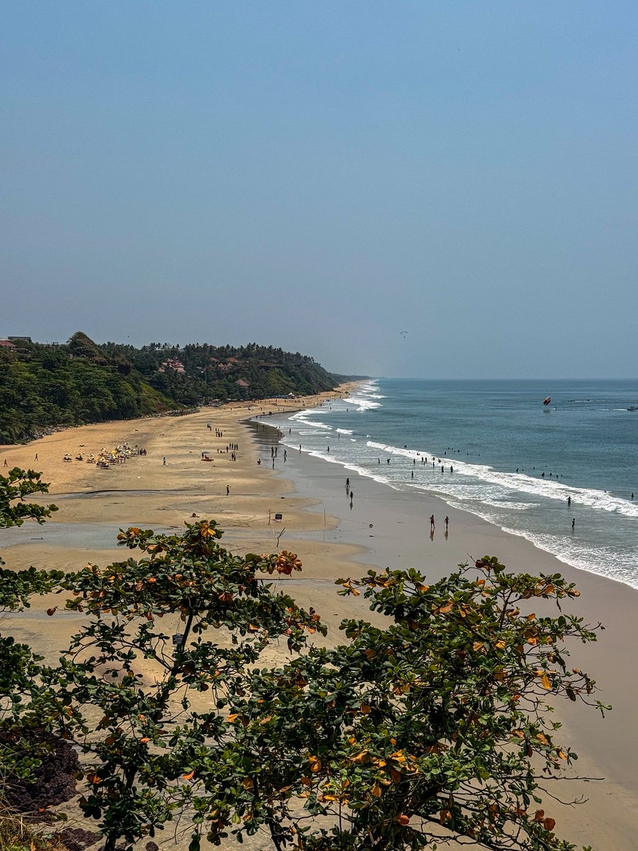 Globe Tucker tweet media