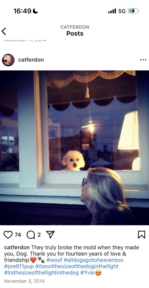 carinajpeg.eth 🧙🏻‍♂️ ❤️ Memecoin tweet media