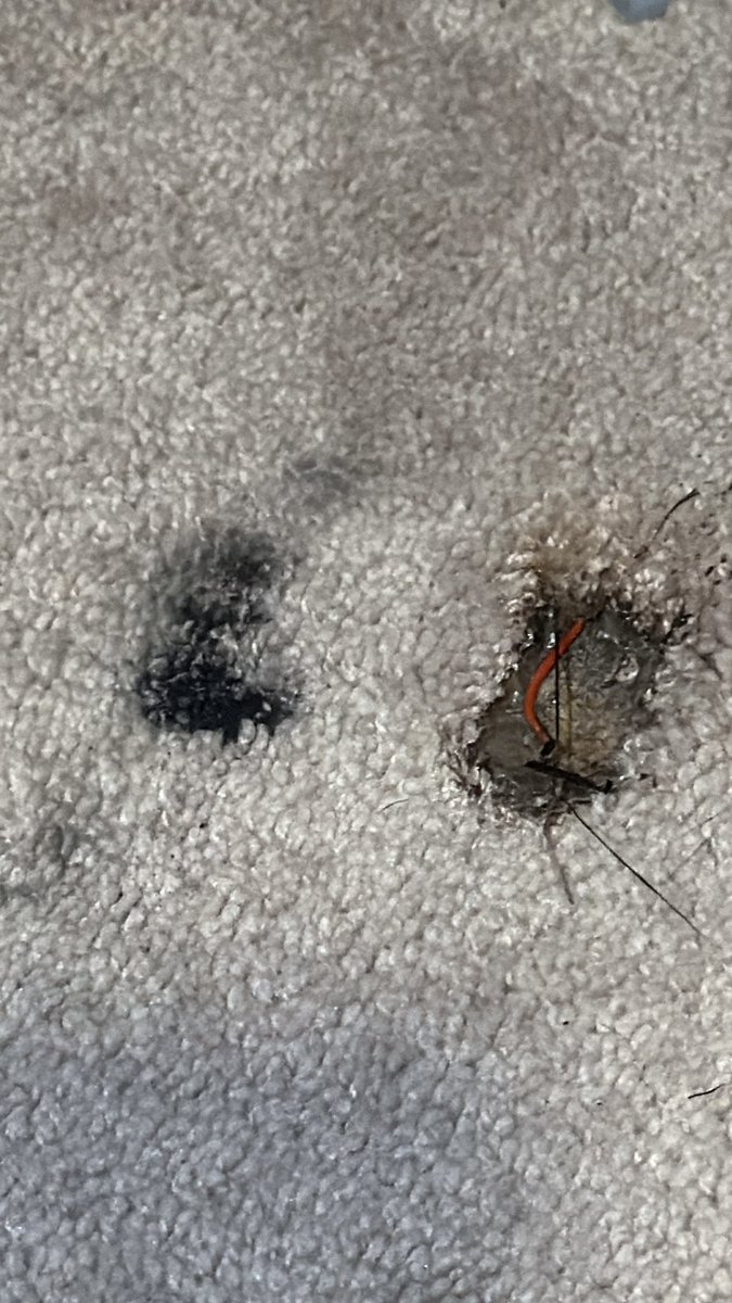 Jessica Ramos tweet media