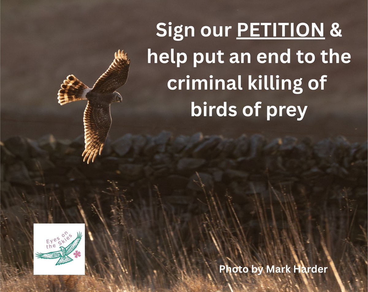 Friends of the Dales tweet media