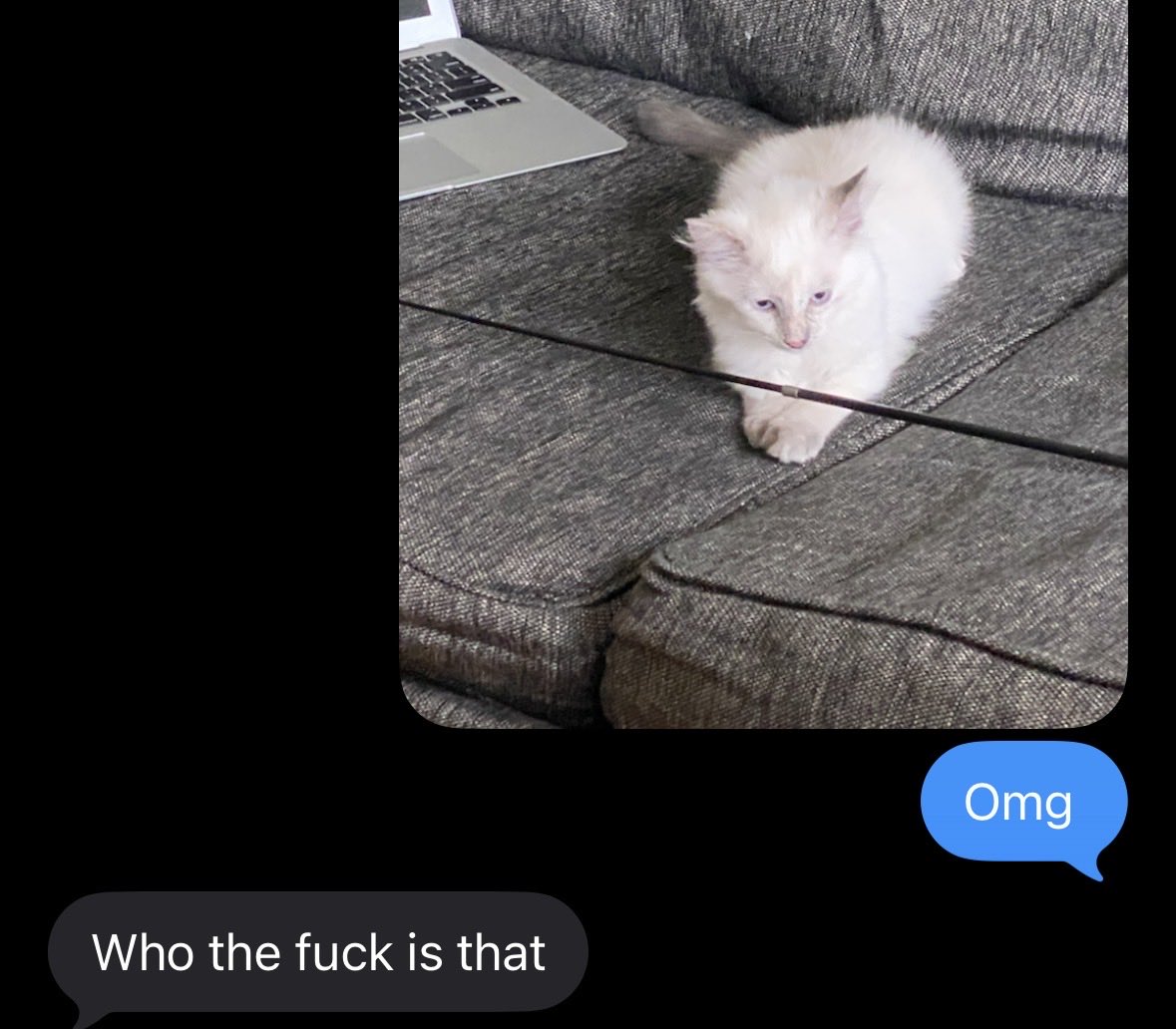 Elitist (@despiteopposite) on Twitter photo 