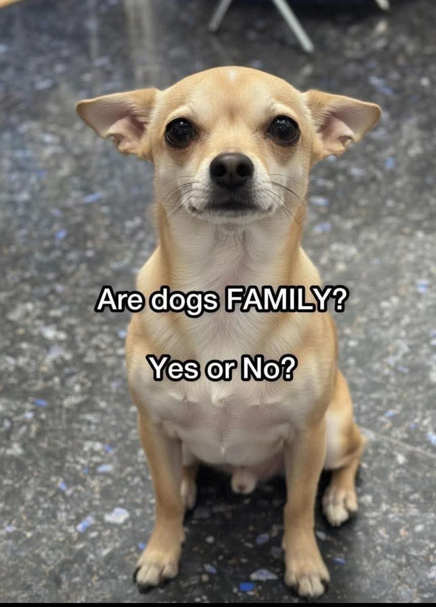 Augestine tweet media